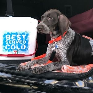 Meet your Posher, April